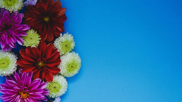 这一职位不 这一职位不